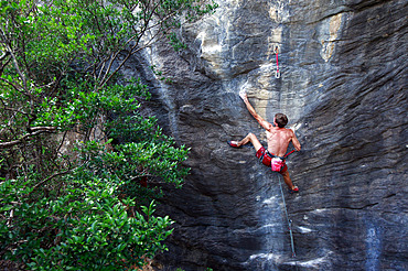 A climber scaling limestone cliffs in the jungle at Serra do Cipo, Minas Gerais, Brazil, South America