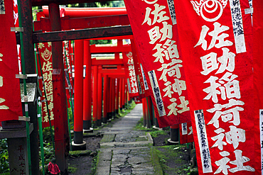 Alley in the Kamakura hills, Honshu, Japan, Asia