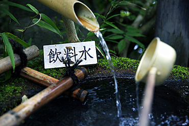 Japanese garden outside the Tokugawa Mausoleum, Nikko, Honshu, Japan, Asia