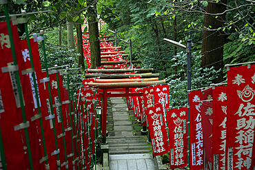 Alley in the Kamakura hills, Honshu, Japan, Asia