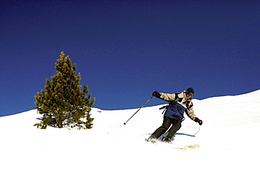 A skier carves a long turn on a classic off piste run at the big French resort of Meribel in the Three Valleys, the world's largest complete skiing area, western French Alps, France, Europe