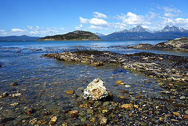 Coastal scene in the Tierra del Fuego National Park, Tierra del Fuego, Argentina, South America