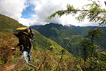 Nepali porter carries a heavy load using traditional wicker basket and tump headband in the lower Hingku Valley, close to Lukla and Mount Everest, Khumbu region, Himalayas, Nepal, Asia