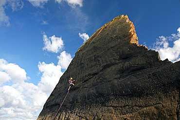 Rock climber in action, Culm Coast, North Devon, England, United Kingdom, Europe