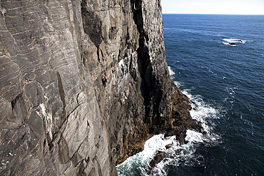 Rock climber in action, Mingulay, Outer Hebrides, Scotland, United Kingdom, Europe