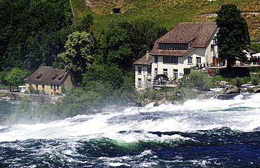 White water on the River Rhine at Rheinfall (Rhine Falls), near Schauffhausen, Switzerland, Europe