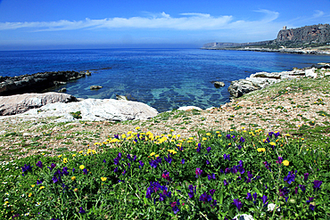 San Vito Lo Capo, Sicily, Italy, Mediterranean, Europe