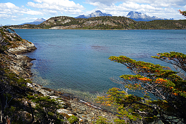 Seascape near Ushuaia, Tierra del Fuego, Patagonia, Argentina, South America