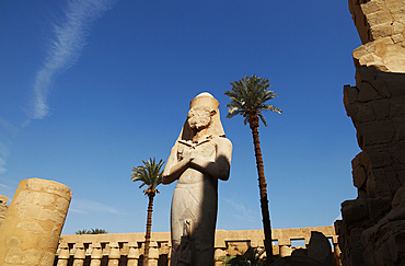 Colossus of Ramesses II, Karnak Temple, UNESCO World Heritage Site, near Luxor, Thebes, Egypt, North Africa, Africa