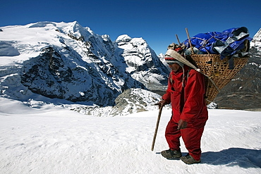 A high altitude porter carries a heavy load using the traditional basket and tump (headband) used by the Nepali porters, under Mera Peak, 6420 metres, a popular trekking peak in the Khumbu region, near Mount Everest, Himalayas, Nepal, Asia