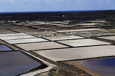 Salt flats, Lanzarote, Canary Islands, Spain, Atlantic, Europe