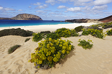 Playa de las Conchas, La Graciosa, Lanzarote, Canary Islands, Spain, Atlantic, Europe