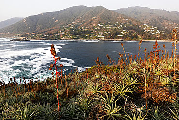 Zapallar, Pacific coast, central Chile,  South America