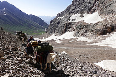 Pack animals in the remote and spectacular Fann Mountains, part of the western Pamir-Alay, Tajikistan, Central Asia, Asia