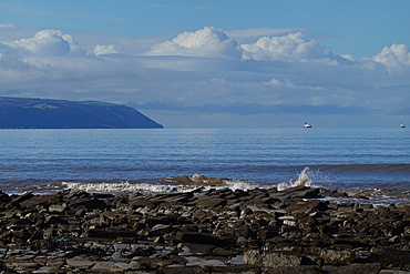 The intertidal zone of the Quantock Coast, West Somerset, contains an abundance of geology and wildlife. It is a Site of Special Scientific Interest (SSSI) and is of international geological importance.