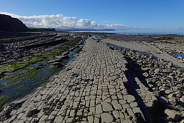 The intertidal zone of the Quantock Coast, West Somerset, contains an abundance of geology and wildlife. It is a Site of Special Scientific Interest (SSSI) and is of international geological importance.