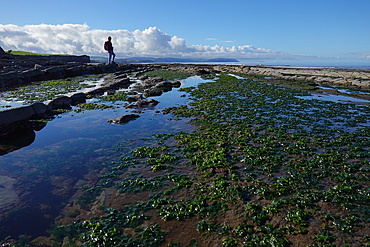 The intertidal zone of the Quantock Coast, West Somerset, contains an abundance of geology and wildlife. It is a Site of Special Scientific Interest (SSSI) and is of international geological importance.