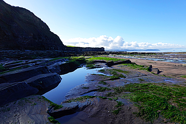 The intertidal zone of the Quantock Coast, West Somerset, contains an abundance of geology and wildlife. It is a Site of Special Scientific Interest (SSSI) and is of international geological importance.