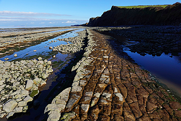 The intertidal zone of the Quantock Coast, West Somerset, contains an abundance of geology and wildlife. It is a Site of Special Scientific Interest (SSSI) and is of international geological importance.