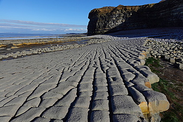 The intertidal zone of the Quantock Coast, West Somerset, contains an abundance of geology and wildlife. It is a Site of Special Scientific Interest (SSSI) and is of international geological importance.