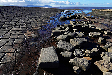 The intertidal zone of the Quantock Coast, West Somerset, contains an abundance of geology and wildlife. It is a Site of Special Scientific Interest (SSSI) and is of international geological importance.