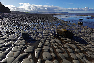 The intertidal zone of the Quantock Coast, West Somerset, contains an abundance of geology and wildlife. It is a Site of Special Scientific Interest (SSSI) and is of international geological importance.