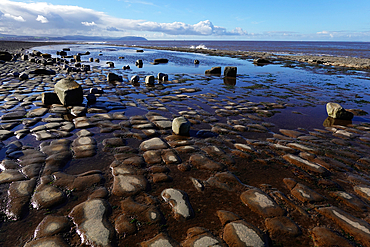 The intertidal zone of the Quantock Coast, West Somerset, contains an abundance of geology and wildlife. It is a Site of Special Scientific Interest (SSSI) and is of international geological importance.