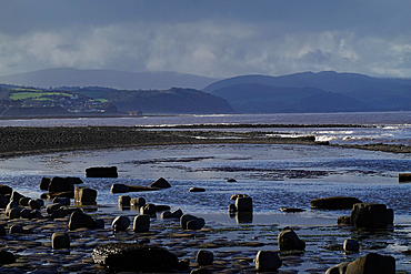 The intertidal zone of the Quantock Coast, West Somerset, contains an abundance of geology and wildlife. It is a Site of Special Scientific Interest (SSSI) and is of international geological importance.