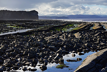 The intertidal zone of the Quantock Coast, West Somerset, contains an abundance of geology and wildlife. It is a Site of Special Scientific Interest (SSSI) and is of international geological importance.