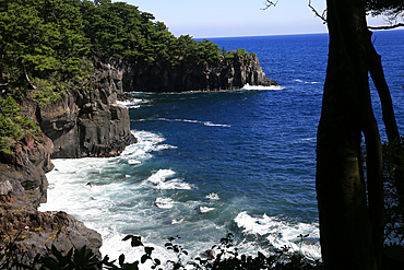 Coastal scenery at Jogasaki, Izu Peninsula, Honshu