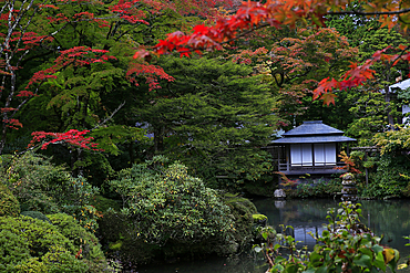 Garden in Nikko, Honshu,