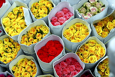 Flowers for sale, Delhi, India, Asia