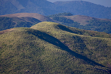 Grasslands, Mangala Devi Peak, Periyar, Kerala, India, Asia