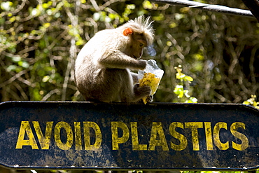 Signboard, Thekkady, Kerala, India, Asia