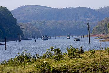 Boating, Periyar Tiger Reserve, Thekkady, Kerala, India, Asia