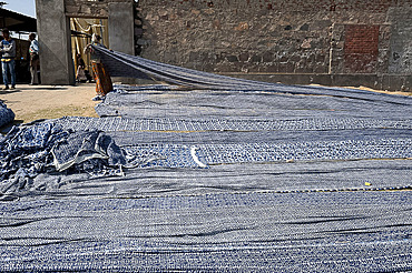 Bolts of cotton fabric, screen printed with indigo, drying in the desert sun, Bagru, Rajasthan, India, Asia