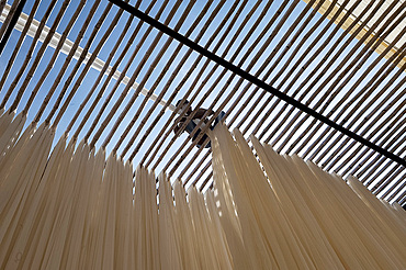 Man on top of bamboo structure hanging washed bolts of cotton fabric to dry before being hand block printed, Bagru, Rajasthan, India, Asia