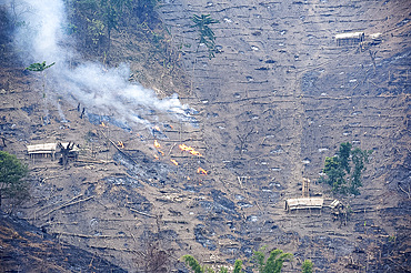 Workers' huts on Naga hillside being desecrated by the government slash and burn system to improve soil for agriculture, Nagaland, India, Asia