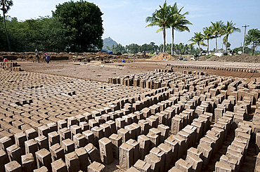 Bricks being made by hand out of roadside clay, Tamil Nadu, India, Asia