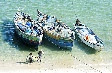 Fisherman carrying fish to land and tidying up their colourful fishing boats under Pamban Bridge, Rameshwaram, Tamil Nadu, India, Asia