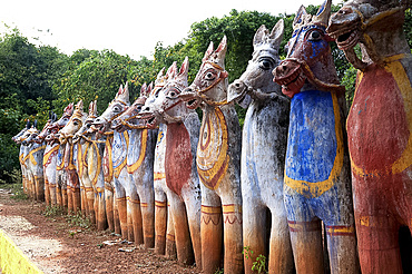 Terracotta horses, each a votive offering to village guardian deity, Ayyanar, at the Solai Andavar shrine, Palathur, Tamil Nadu, India, Asia