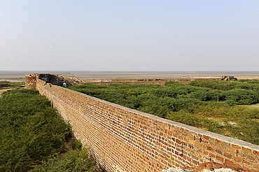 Part of the 7km long 18th century wall round Lakhpat Fort on the Kori creek looking out at the border between India and Pakistan, Gujarat, India, Asia