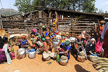 Bonda and Godaba tribeswomen selling home brewed alcohol at the entrance to weekly tribal market, Onukadelli, Odisha, India, Asia