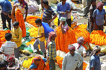 Early morning trading of marigold garland ropes, Malik Ghat flower market, Kolkata, West Bengal, India, Asia