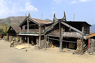 Woman raking rice to dry in the sun, grandmother holding child, in Phek Naga village, Nagaland, India, Asia