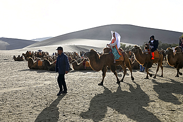 Tourists on camels being led into the Singing Sand Dunes in Dunhuang, Northwest Gansu province, China, Asia