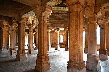 Pillared prayer hall inside 15th century Sahar ki Masjid Mosque, UNESCO World Heritage Site, Champaner-Pavagadh Archaeological Park, Gujarat, India, Asia