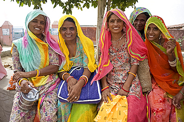 Women waiting for village jeep after their morning shift working with cows, Binawas, Rajasthan, India, Asia