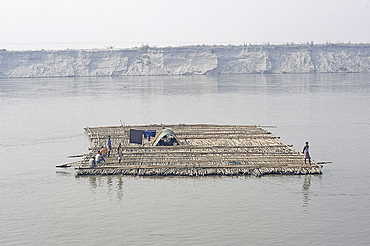 Men guiding large bamboo raft downstream with oars, past sandspit in the Brahmaputra River, Assam, India, Asia