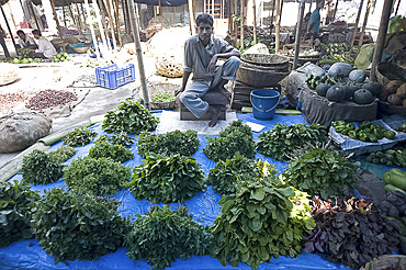 Green leaf vegetable and herb seller waiting for customers in early morning market on the banks of the Brahmaputra river, Guwahati, Assam, India, Asia